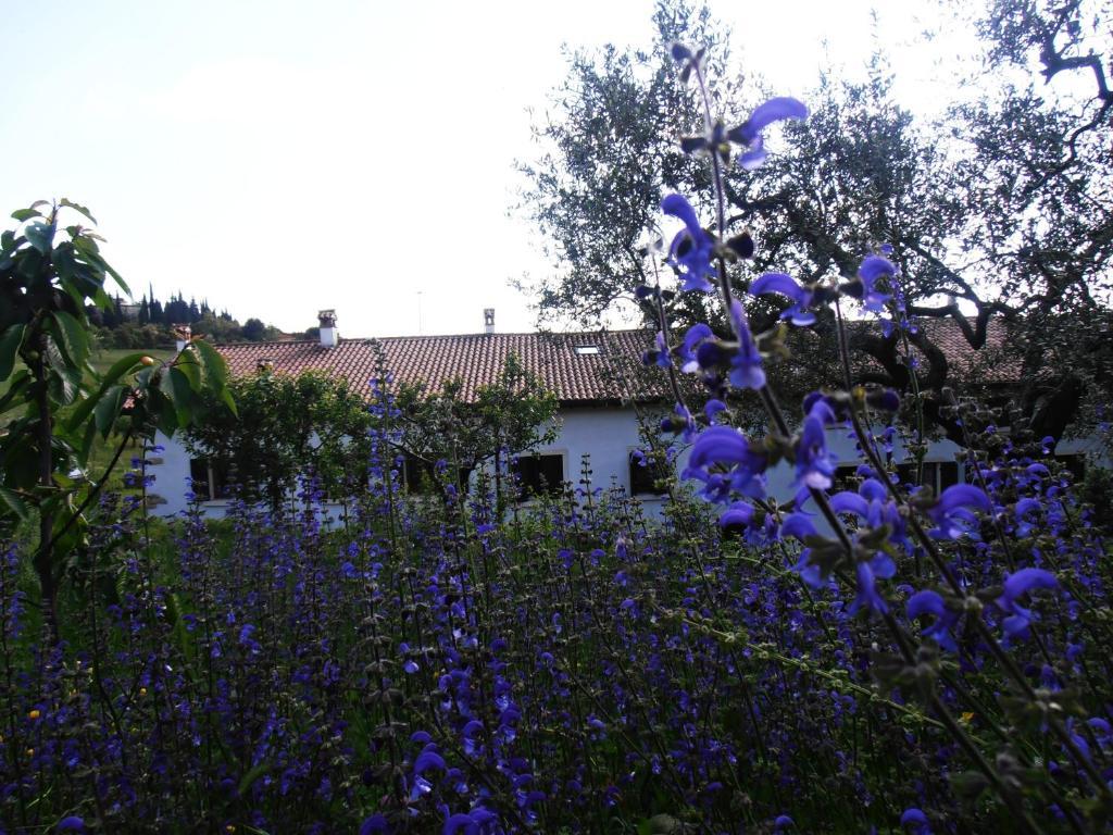 Agroturismo Alle Torricelle